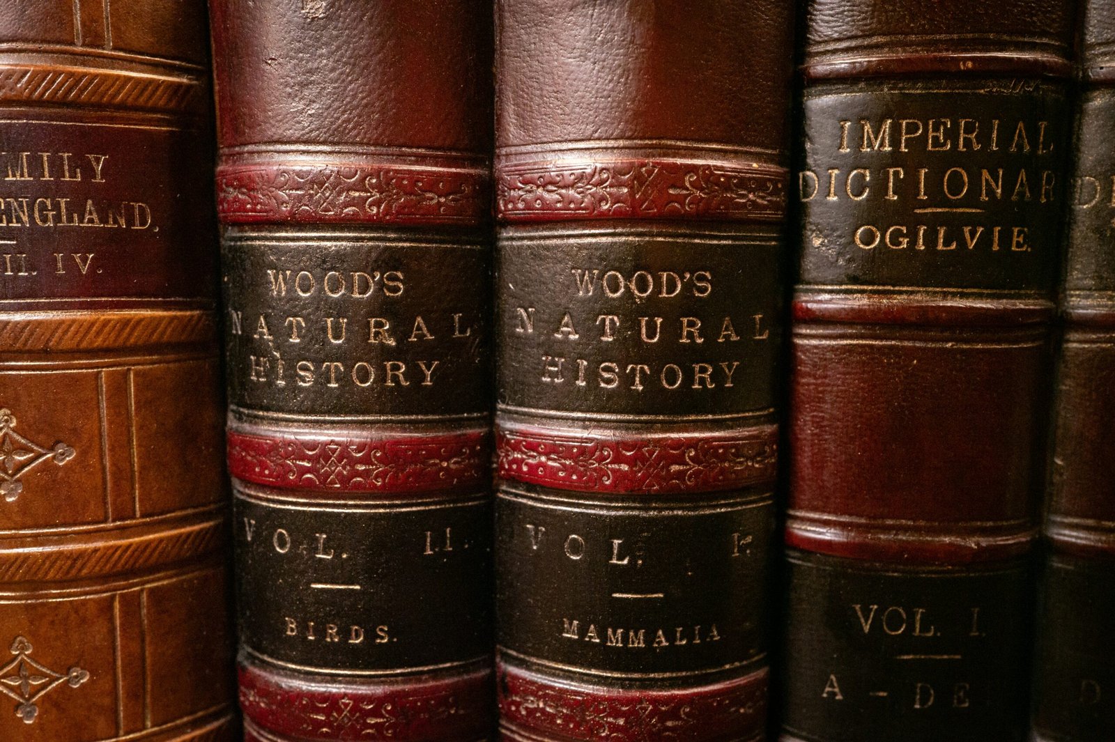 Unveiling Ancestry: Using Historic Maps for Genealogy Research